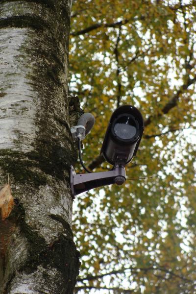 Installation dans un camping